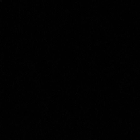 ryleevwhite